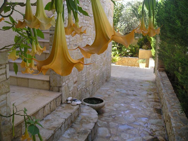 Poros Town Eleonas Studios מראה חיצוני תמונה